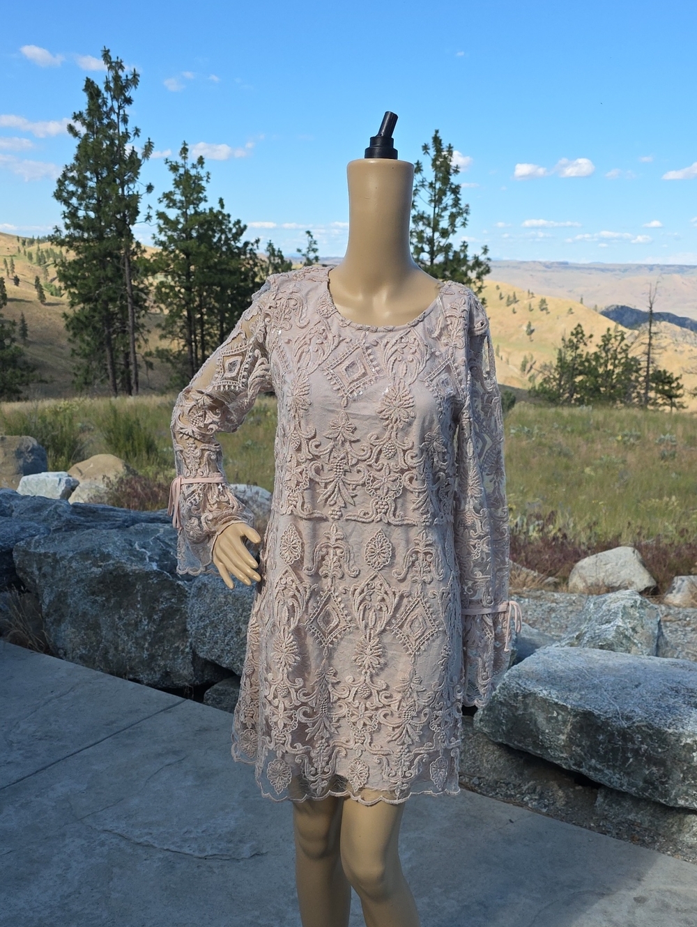 Trixxi Lace Long-Sleeve Mini Dress in Blush Pink